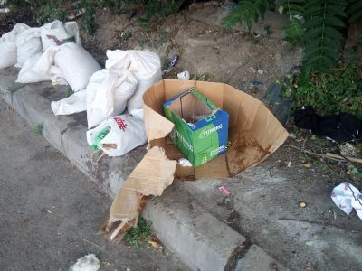 Amenzi aplicate de polițiștii locali pentru depozitare de deșeuri pe domeniul public